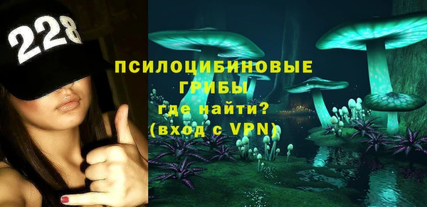 ГАЛЛЮЦИНОГЕННЫЕ ГРИБЫ Балабаново